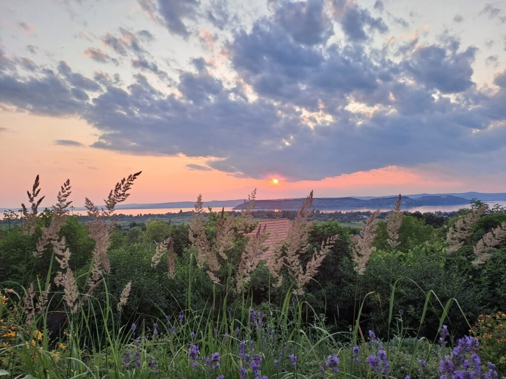 62a9ceeae577303ab2bba35bd6982d68