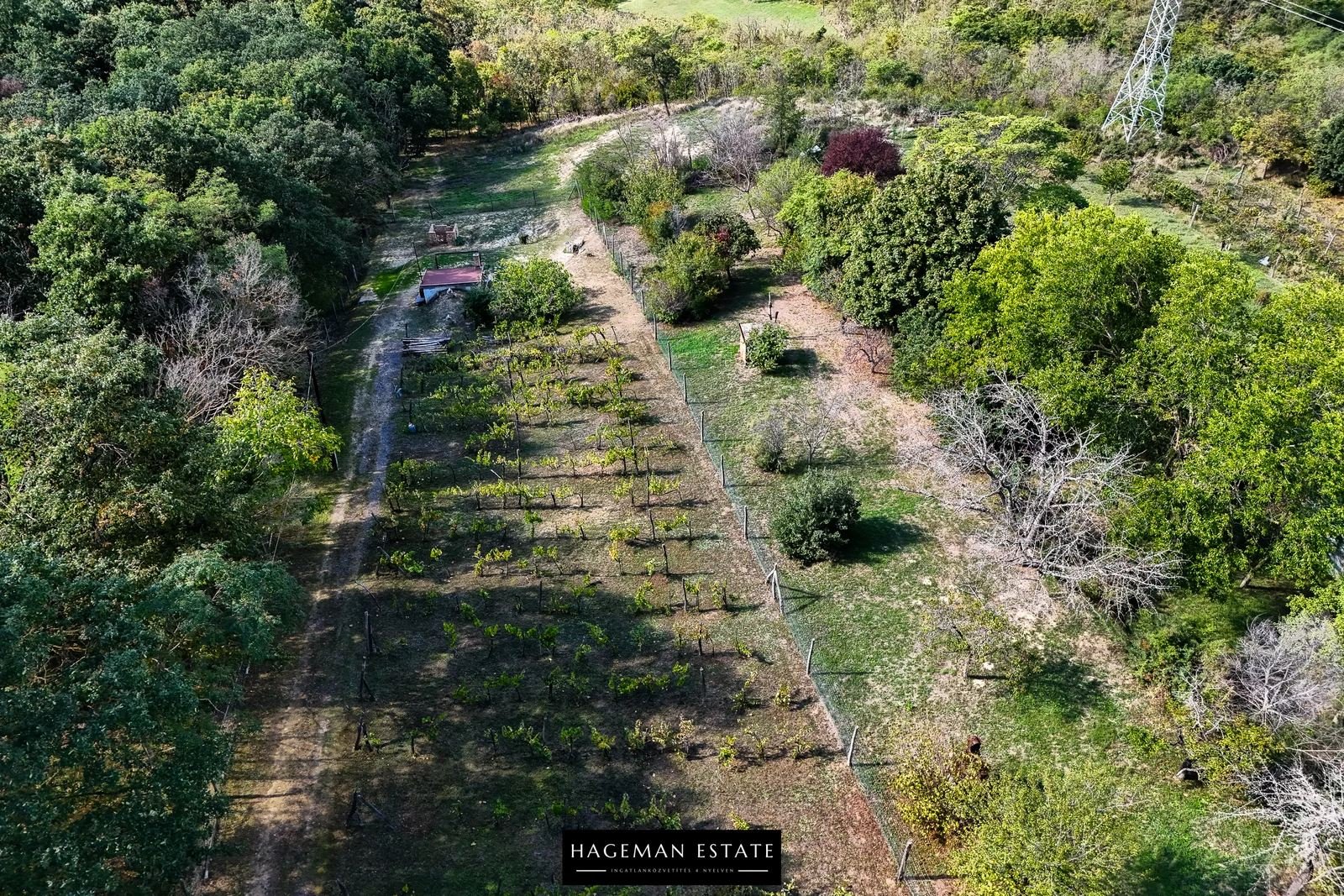 DJI_20250929115853_0006_D