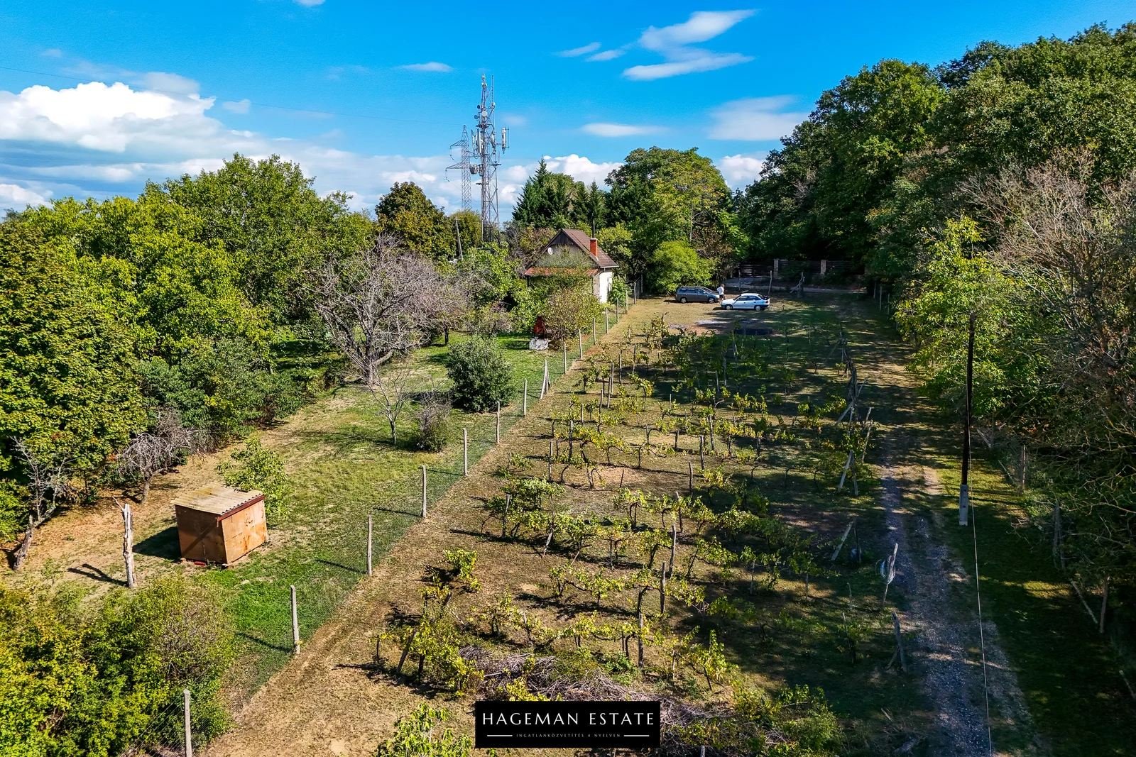 DJI_20250929120724_0011_D